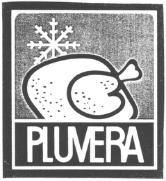 PLUVERA logo