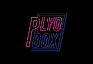 PLYO BOX logo
