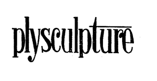 PLYSCULPTURE logo