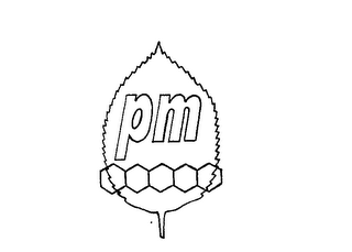 PM logo