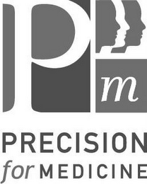 PM PRECISION FOR MEDICINE logo