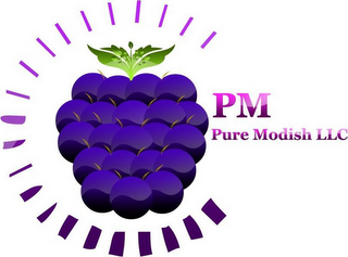 PM PURE MODISH LLC logo