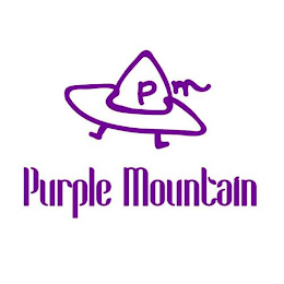PM PURPLE MOUNTAIN logo