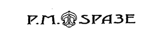 P.M. SPACE HEAVY DUTY JEWELLERY logo