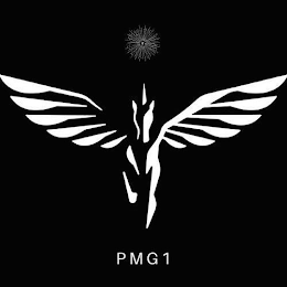 PMG1 logo