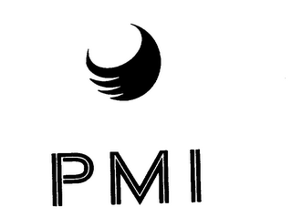 PMI logo