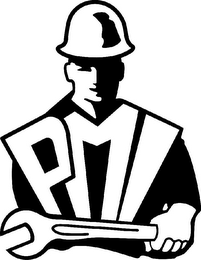 PMI logo