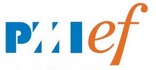 PMIEF logo