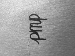 PMP logo