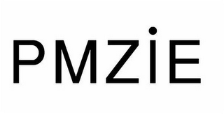 PMZIE logo