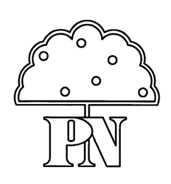 PN logo
