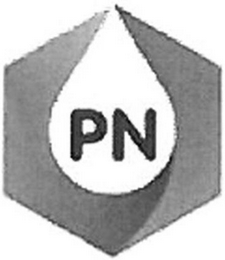 PN logo