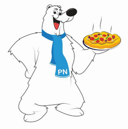 PN logo