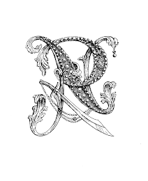 PN logo