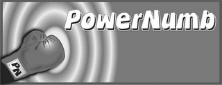 PN POWERNUMB logo