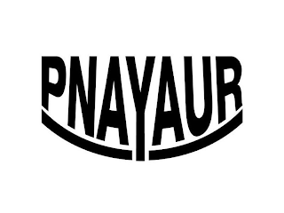 PNAYAUR logo