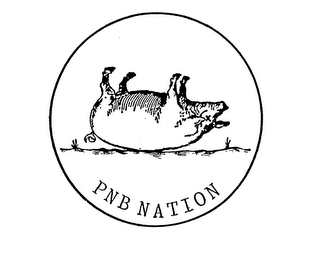 PNB NATION logo