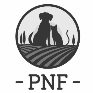 PNF logo