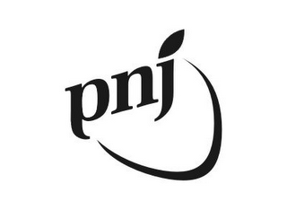 PNJ logo