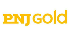 PNJ GOLD logo