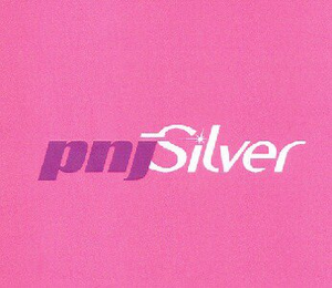 PNJSILVER logo