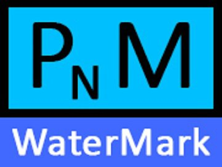 PNM WATERMARK logo