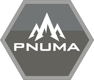PNUMA logo