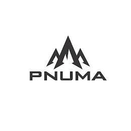PNUMA logo