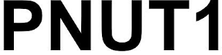 PNUT1 logo