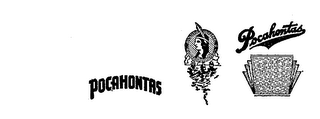 POCAHONTAS logo