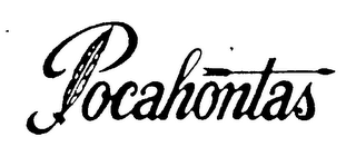 POCAHONTAS logo
