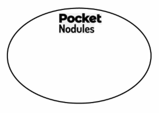 POCKET NODULES logo