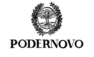 PODERNOVO logo