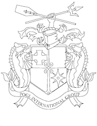 POGL INTERNATIONAL GROUP logo