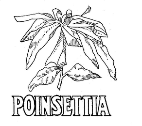 POINSETTIA logo