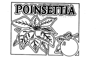 POINSETTIA logo