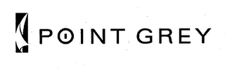POINT GREY logo