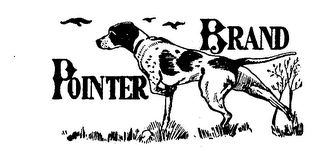 POINTER BRAND logo