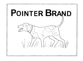 POINTER BRAND logo