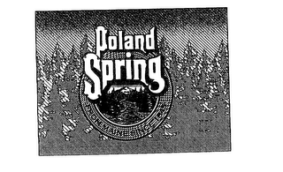POLAND SPRING FROM MAINE SINCE 1845