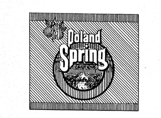 POLAND SPRING SINCE 1845 logo