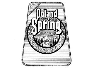POLAND SPRING SINCE 1845 logo