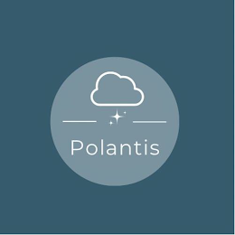 POLANTIS logo