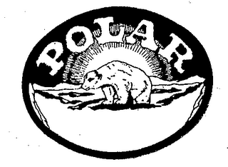 POLAR logo