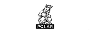 POLAR logo