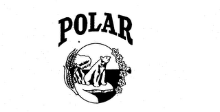 POLAR logo
