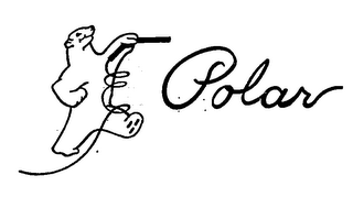 POLAR logo