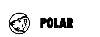 POLAR logo