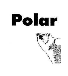 POLAR logo