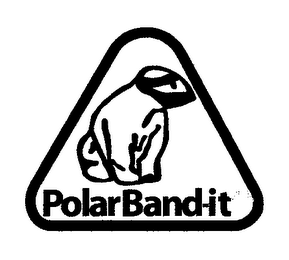 POLAR BAND-IT logo